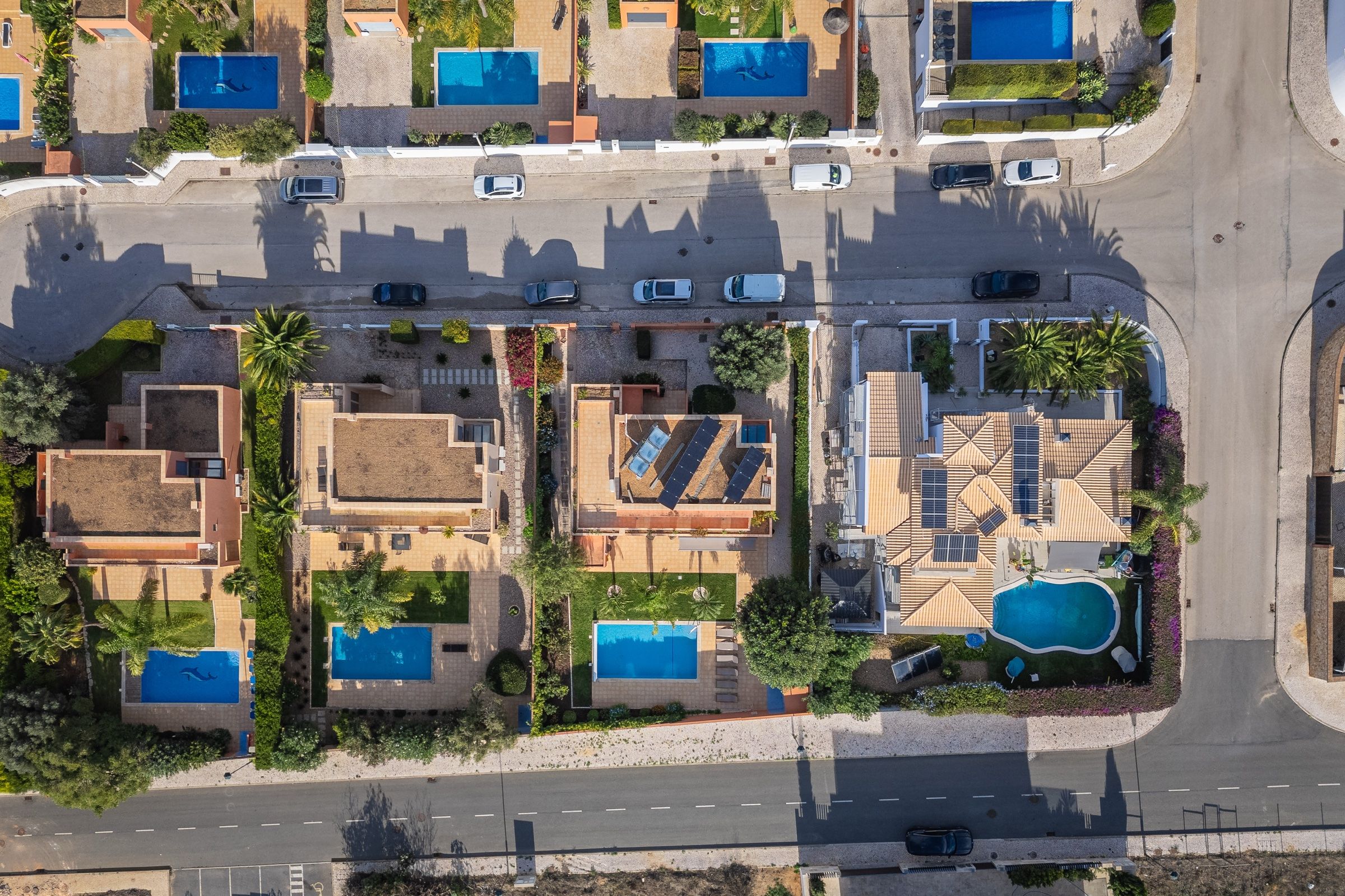 Aerial view of a street of villas with pools, among gardens and palm trees